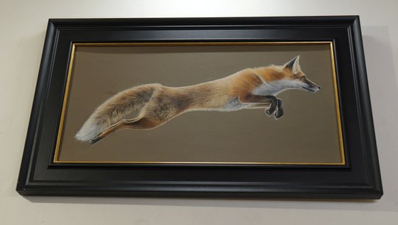 A Fox in Motion