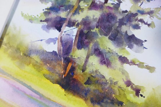 Lush pine trees in watercolor, Evergreen nature