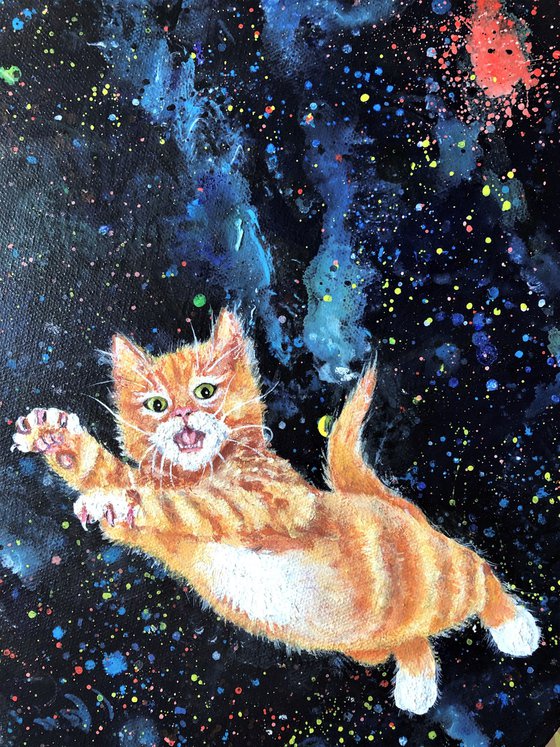 Ginger kittens in space