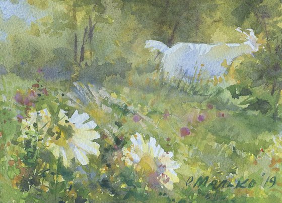 Goat and daisies / Summer sketch Watercolor scenery