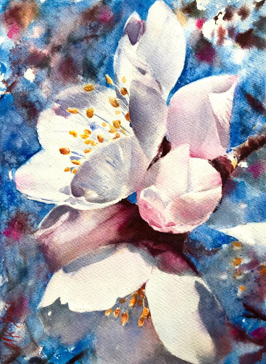 Cherry Blossom by Monika Jones