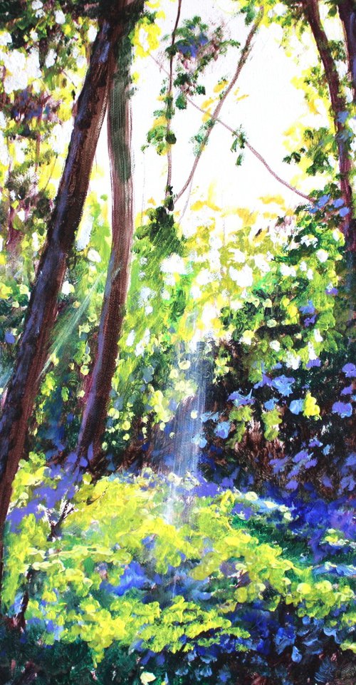 Sunlit Copse 2 by Rod Bere