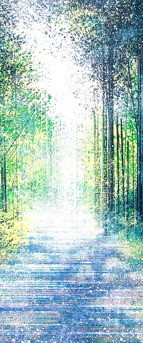 Light In A Summer Forest by Marc Todd