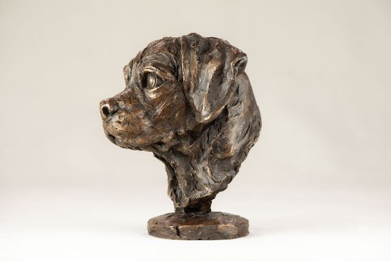 Puggle Portrait BR