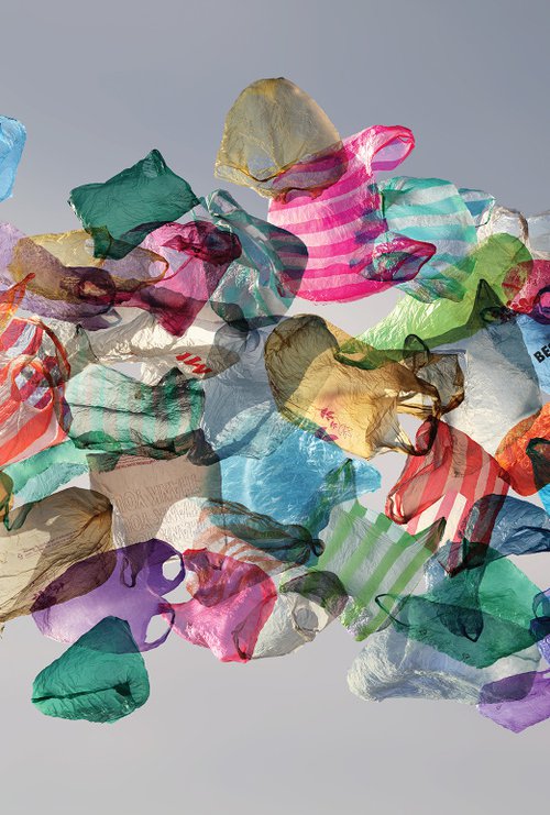 Plastic Bags by Robert Houzar