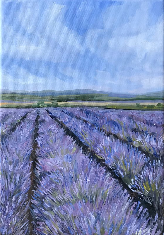 Provence field 2 Oil Painting on canvas 18x26cm
