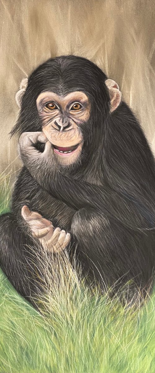 Cheeky chimp by Maxine Taylor