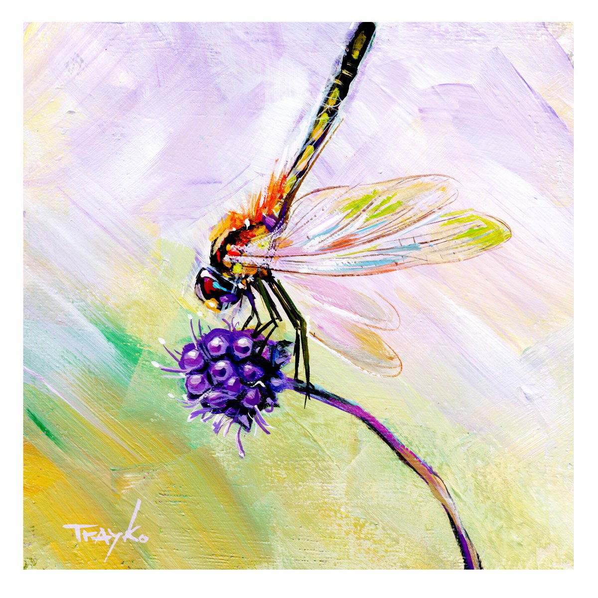 Dragonfly.. Acrylic painting by Trayko Popov | Artfinder