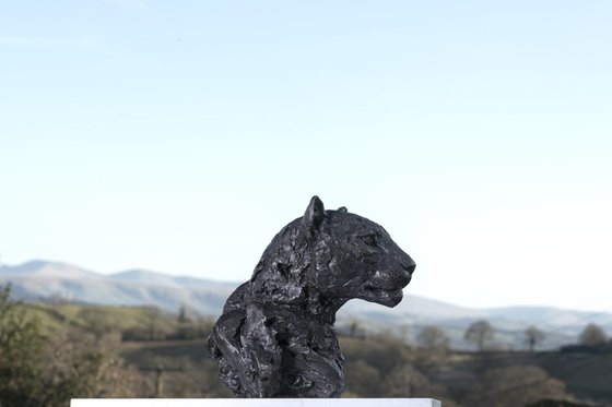 Leopard Portrait Bronze Resin