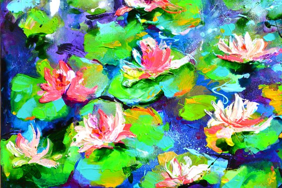 Water Lilies on the Pond