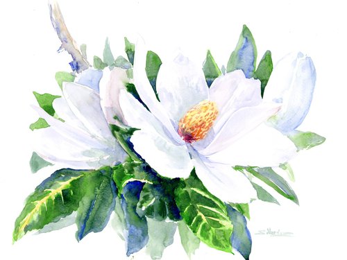 White Magnolia Flowers by Suren Nersisyan