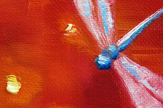 Dragonfly over dappled light III