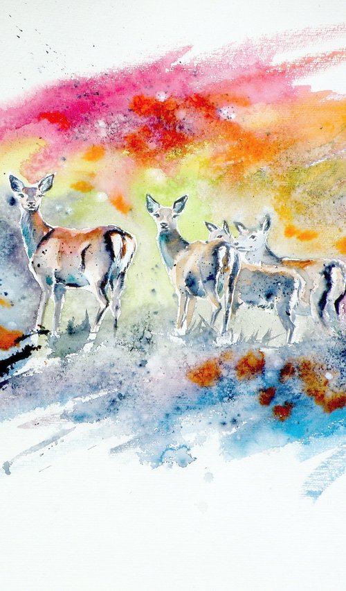 Deer on the field by Kovács Anna Brigitta
