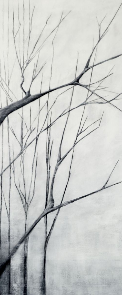 Trees by Nadia Moniatis