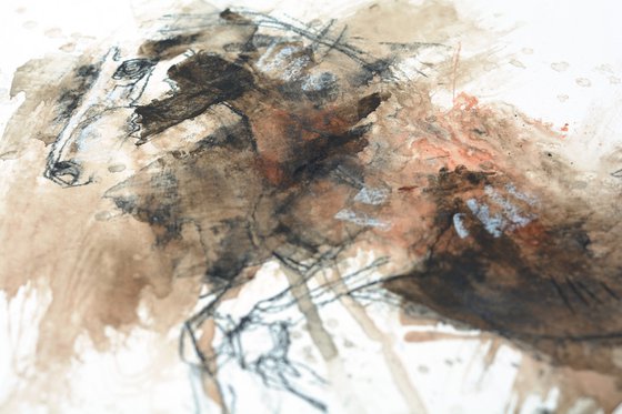 Equine Nude 170t