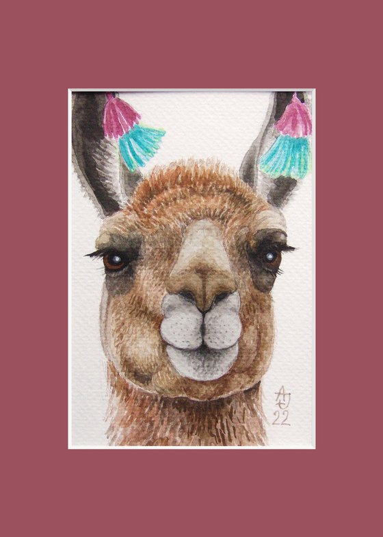 A small portrait of a lama :)