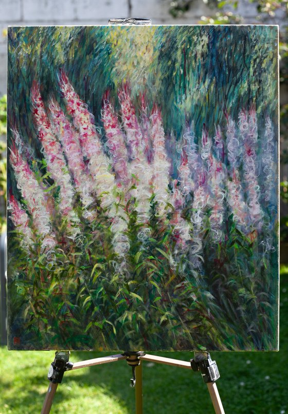 Willowherbs