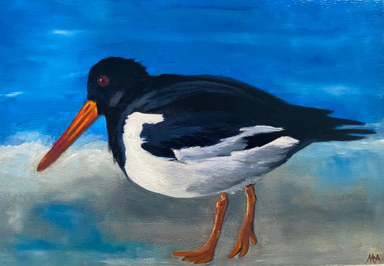 Oystercatcher