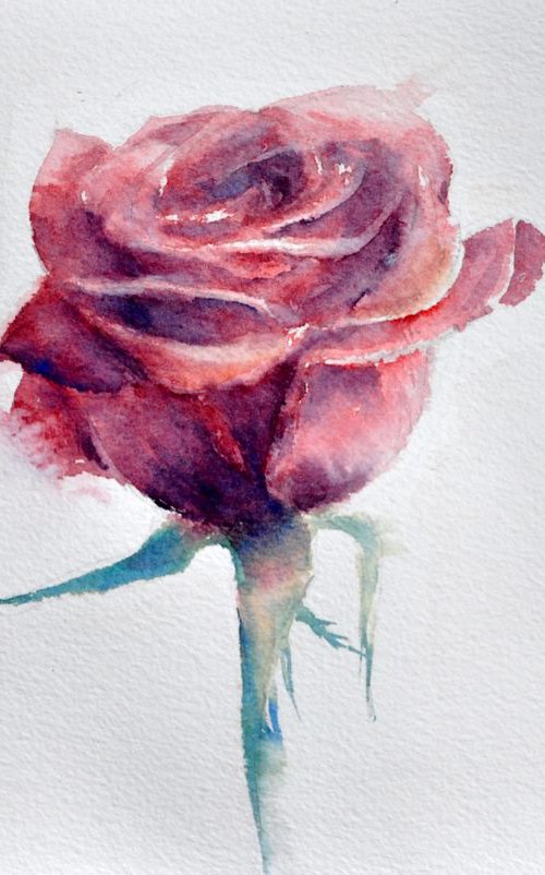 QUEEN. RED. ROSE original watercolor 31x23 by Beata van Wijngaarden