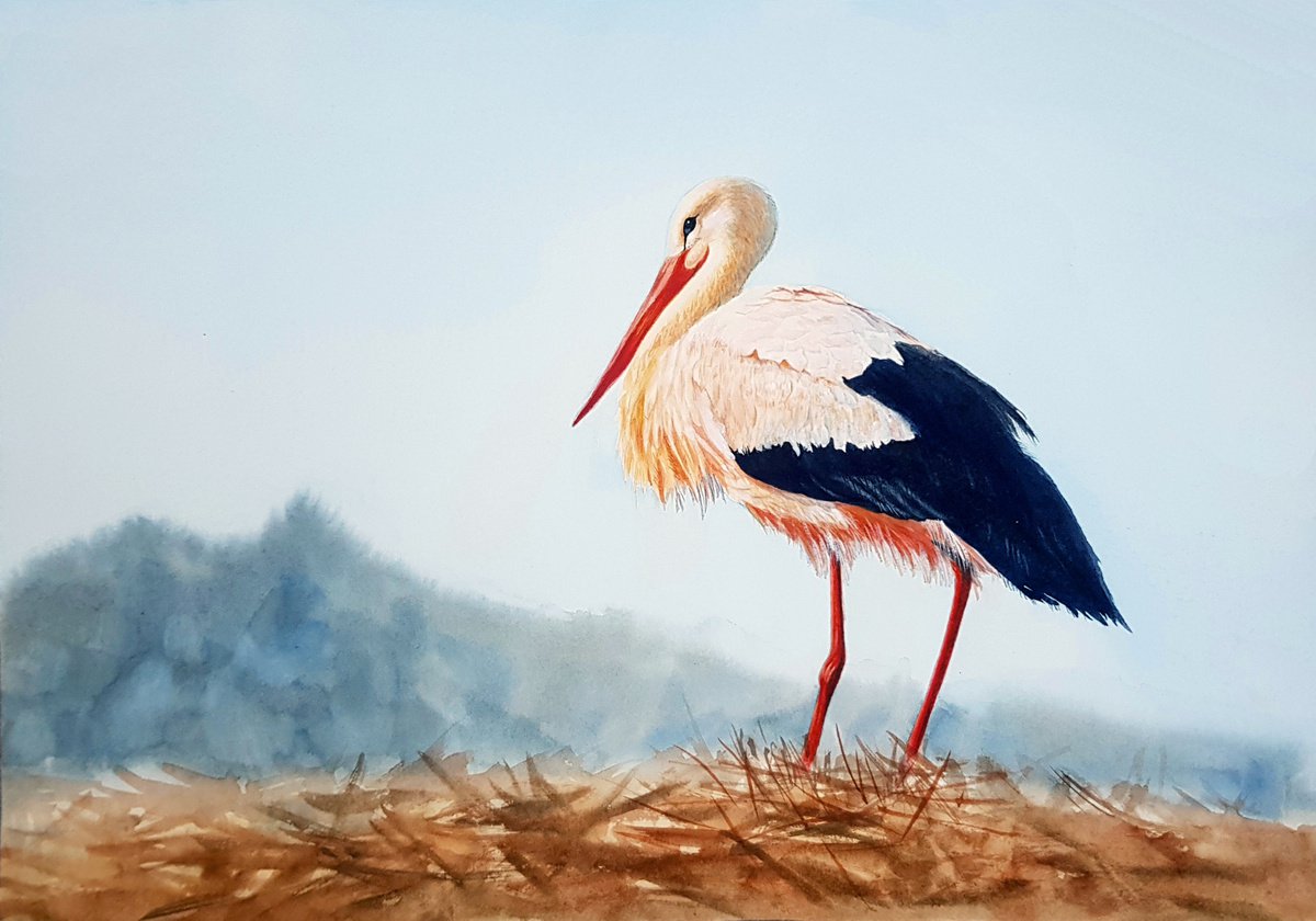 Bird stork by Svetlana Lileeva