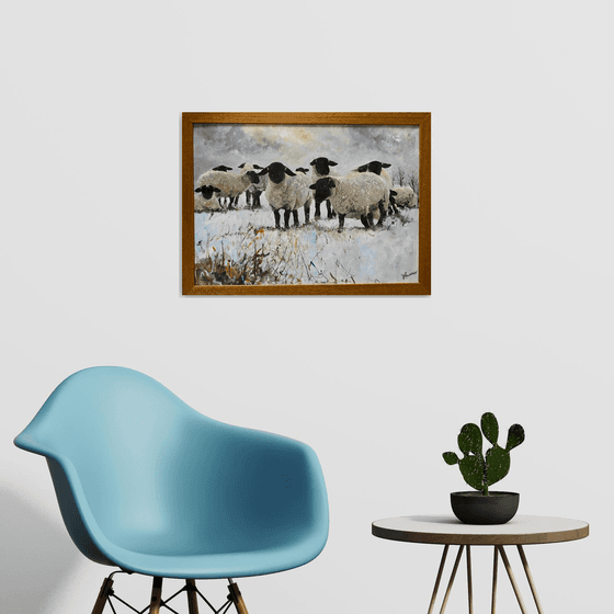 Black Face Sheep Winter framed