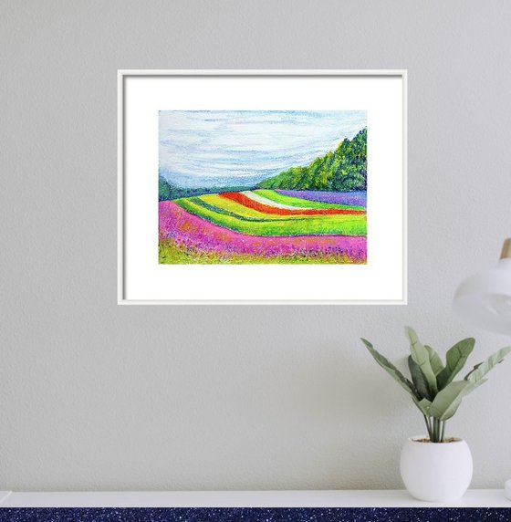 Vibrant summer flower beds