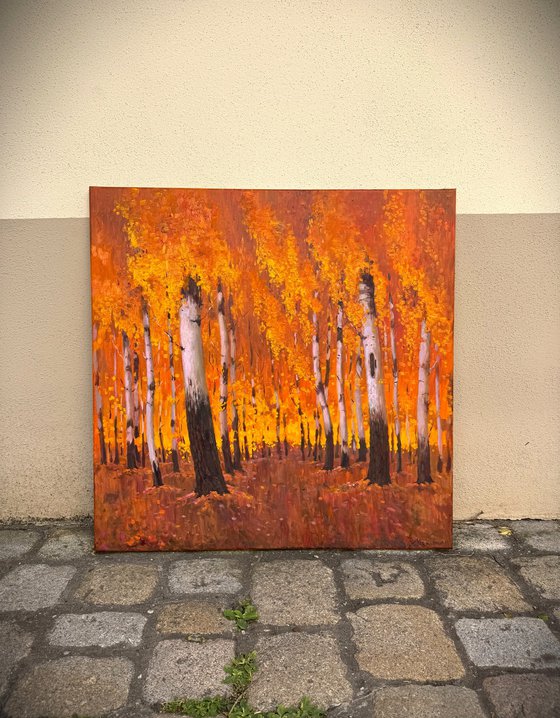 Autumn Birch Forest