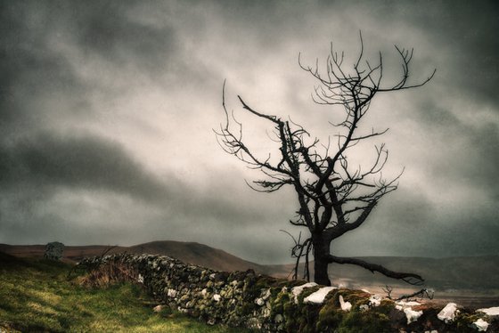 Melancholy in the Highlands