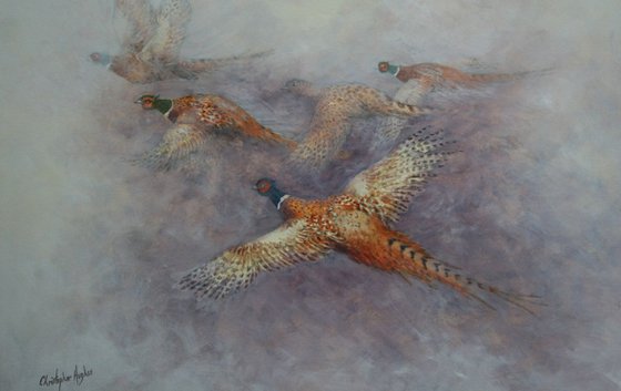 Flight of the Pheasants