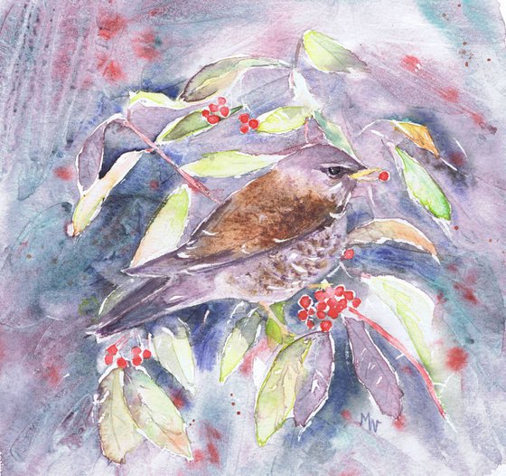 Fieldfare and Winter Berries - Bird painting