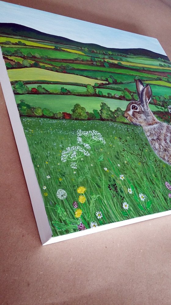 Hare's meadow