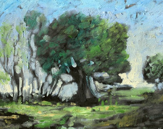Old Oak Tree