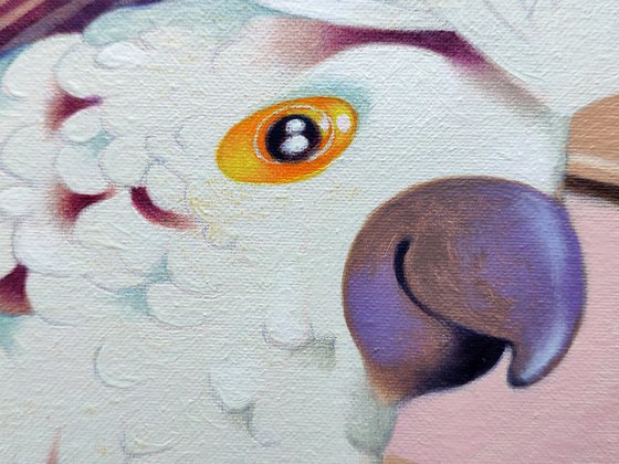 Cockatoo and tulips