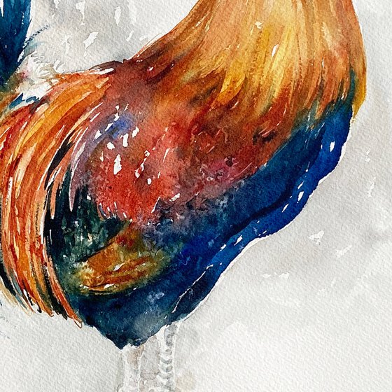 Rory the Rooster