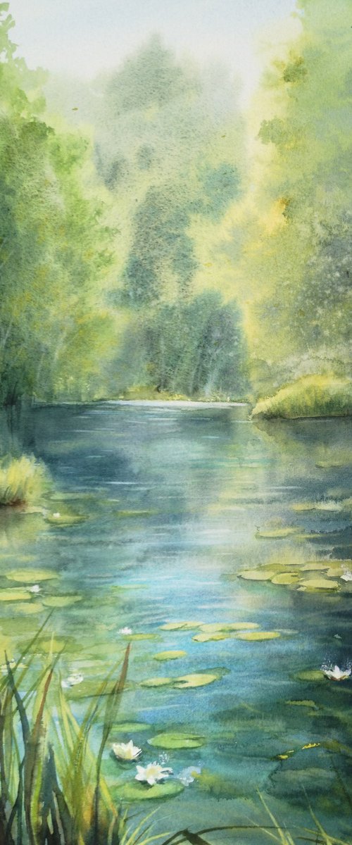 Forest lake with water lilies  - Water Lily Pond -  waterlily lake by Olga Beliaeva Watercolour