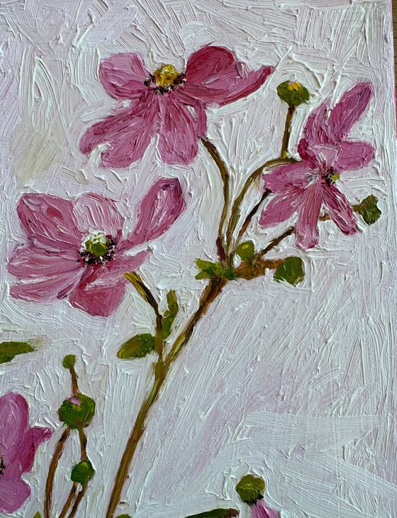 Pink Anemone Flowers