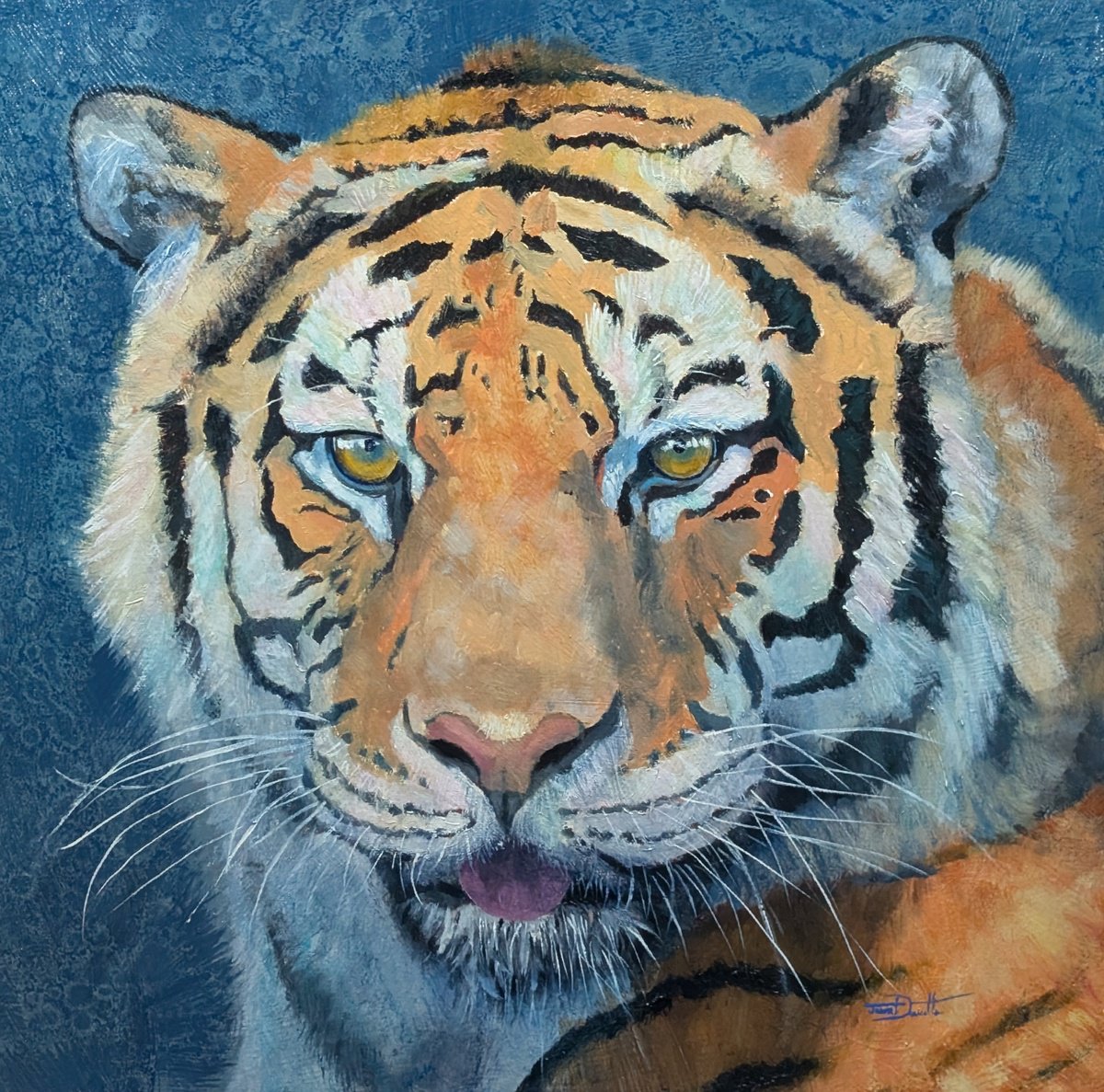 Photorealistic Animal Oil Painting By Jason Edward Doucette, 18 X 18, Sarma - Tiger, Original Artwork