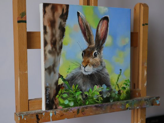 Brown Hare Portrait, Spring Rabbit