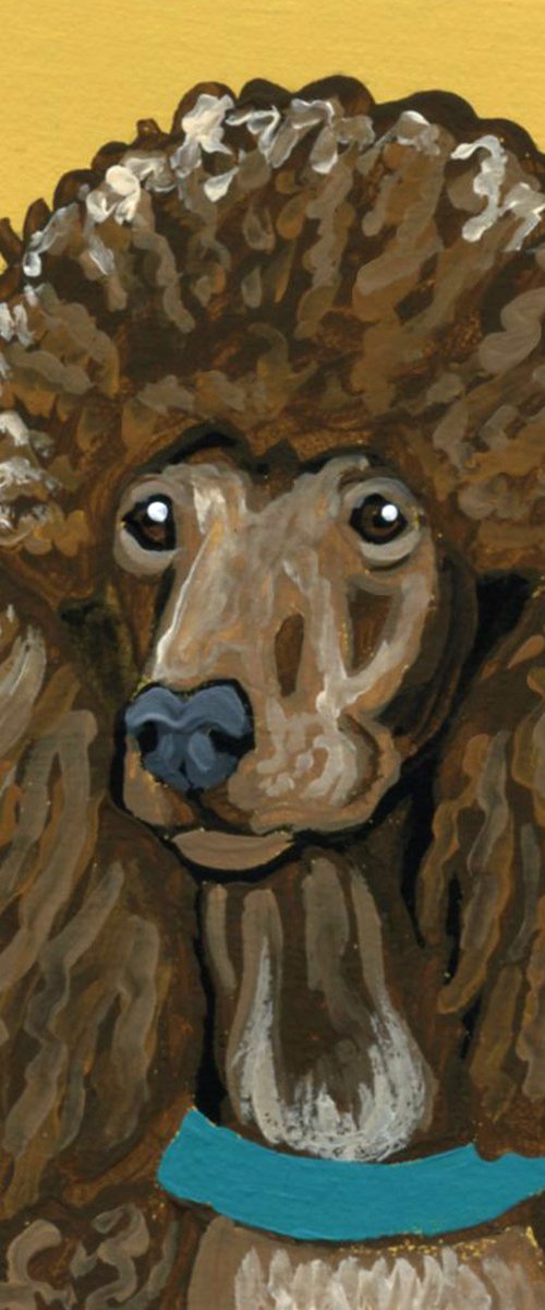 Brown Poodle by Carla Smale