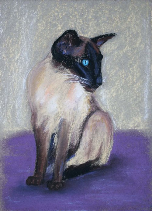 Сat with blue eyes by Salana Art Gallery