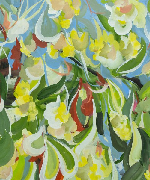 Australian Wattle by Amber Gittins