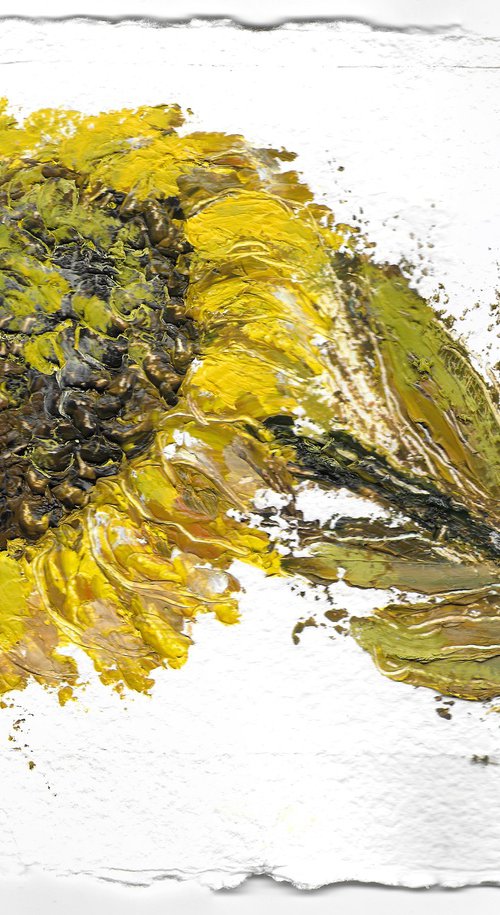 After the Sun by Gozde Temiz Istanbul