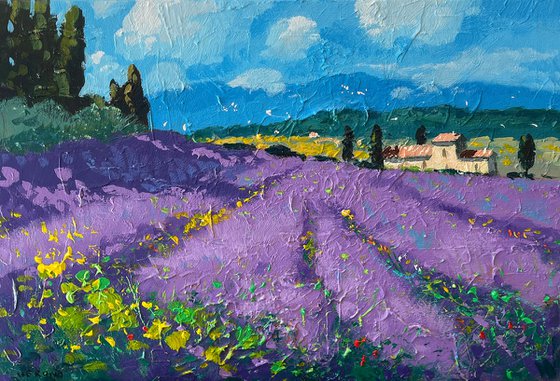 Tuscan Lavender Field
