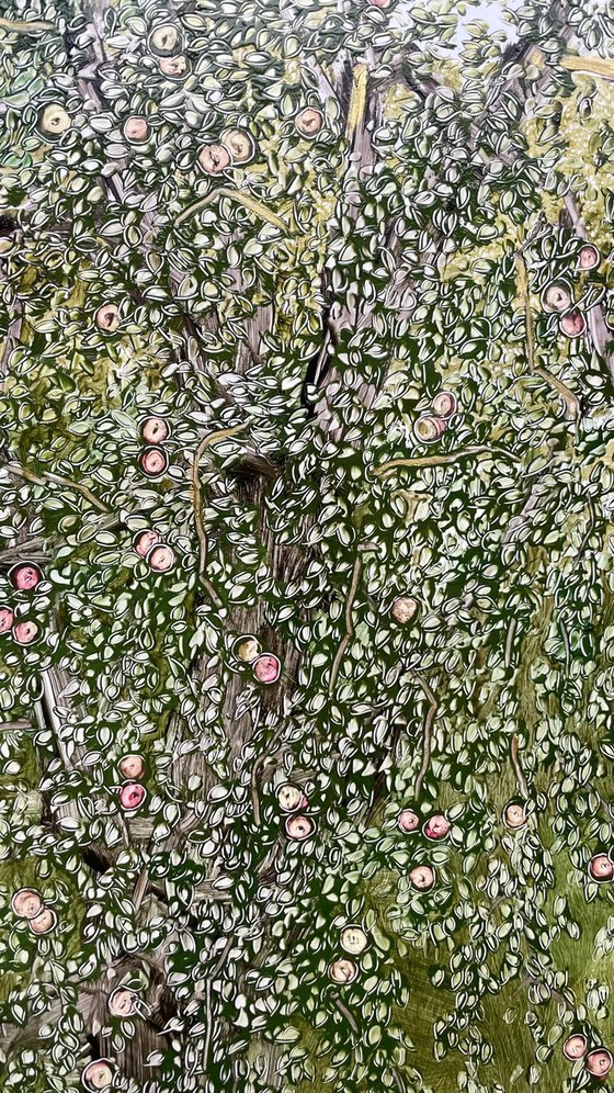 View from the window of an apple orchard.
