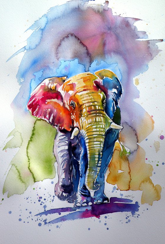 Colorful elephant