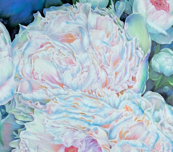 Whisper of Peonies
