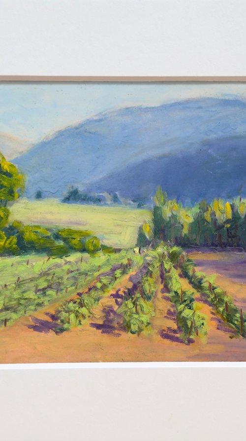 Mountain Foothills Vineyards by Tatyana Fogarty