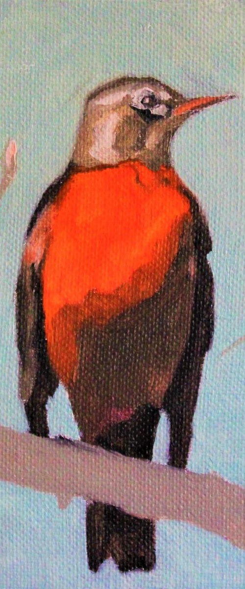 Song birds - Robin by Afekwo