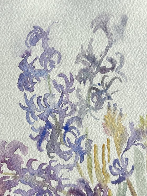 Hyacinths. Spring Awakening.