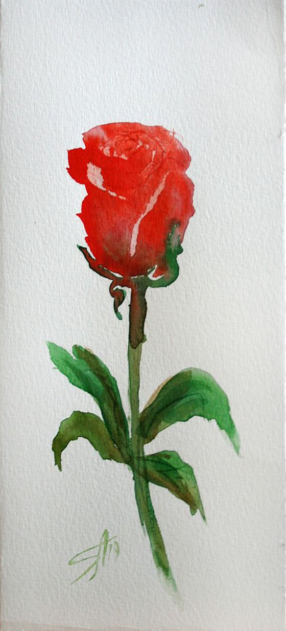 Rose 04  / Original Painting / emotion in the portrait of a flower / color harmony of watercolor / a gift for you